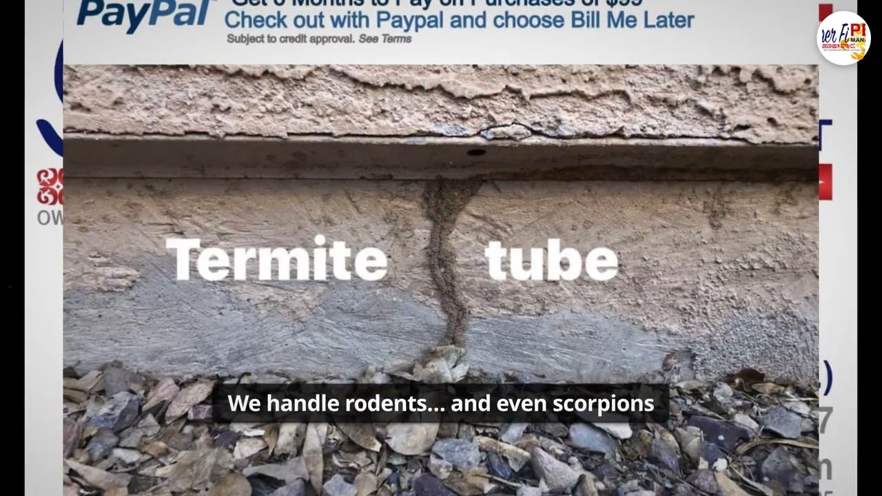 Maricopa AZ Pest Control | Semper Fi Exterminator Services: Rodent, Ant, Roach, Scorpion