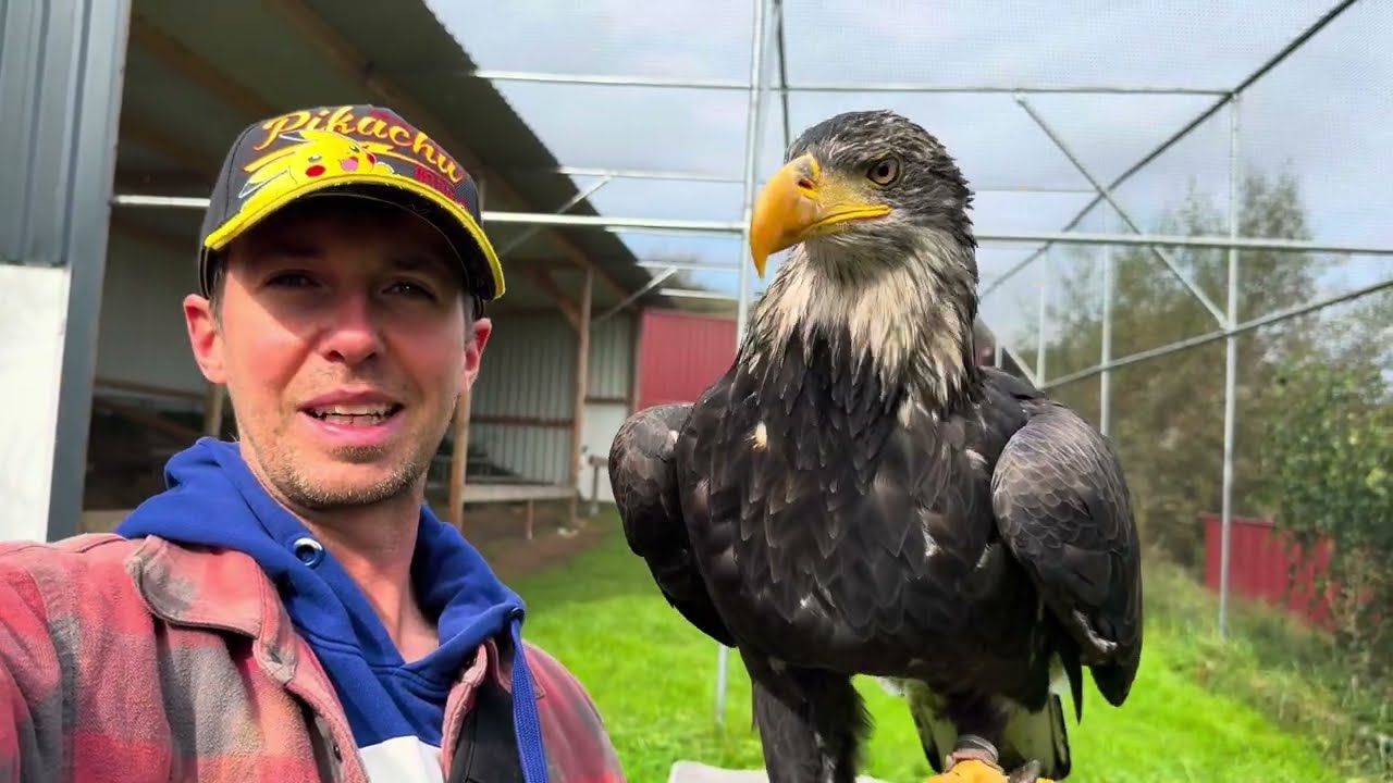 Stanley packt aus! 😱🦉VLOG #116🦅