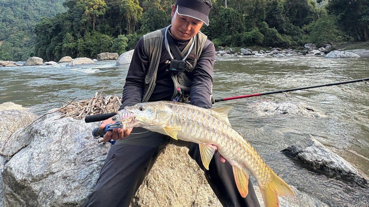 Catching Golden Mahseer after Flooded River Pare River, Arunachal Pradesh India