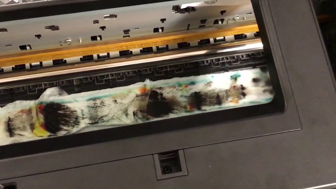 EPSON STYLUS R2000 CLEAN HEAD