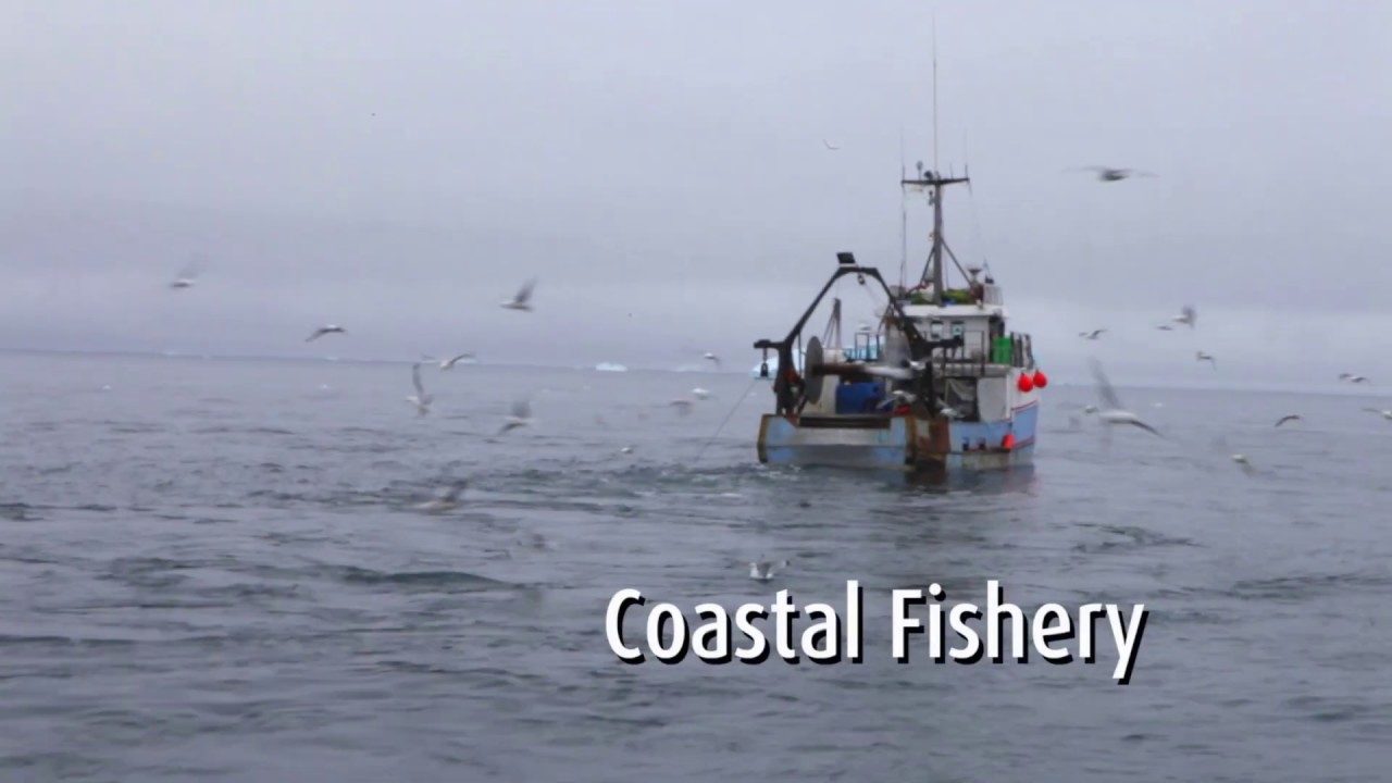 Royal Greenland fisheries in Greenland