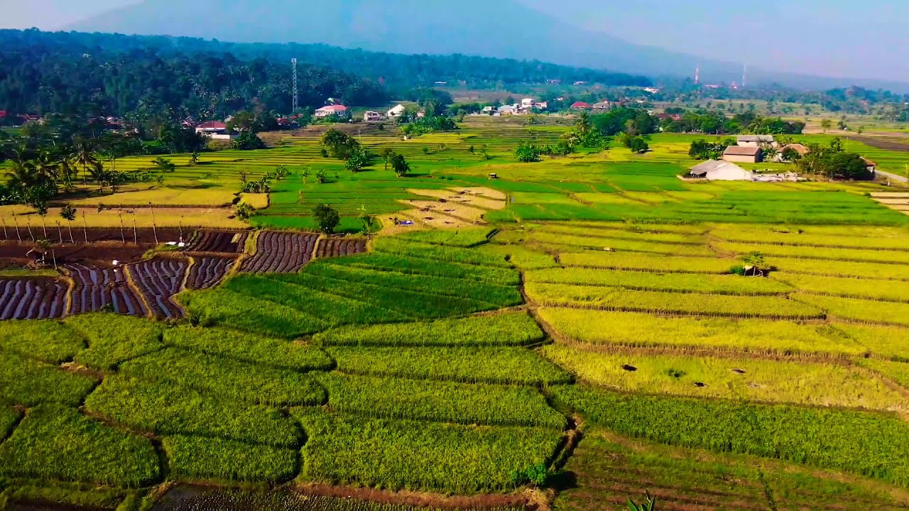 GREEN FIELDS DRONE FOOTAGE | LOVE THE NATURE