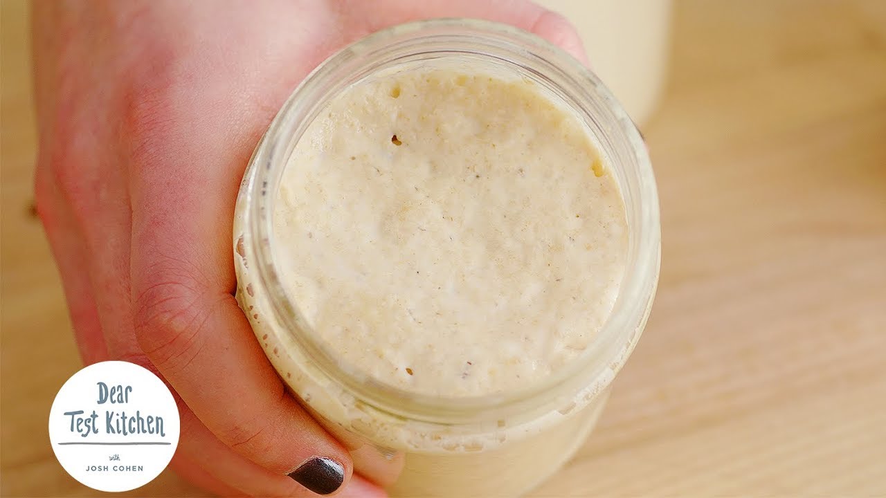 How To Maintain A Sourdough Starter | Dear Test Kitchen