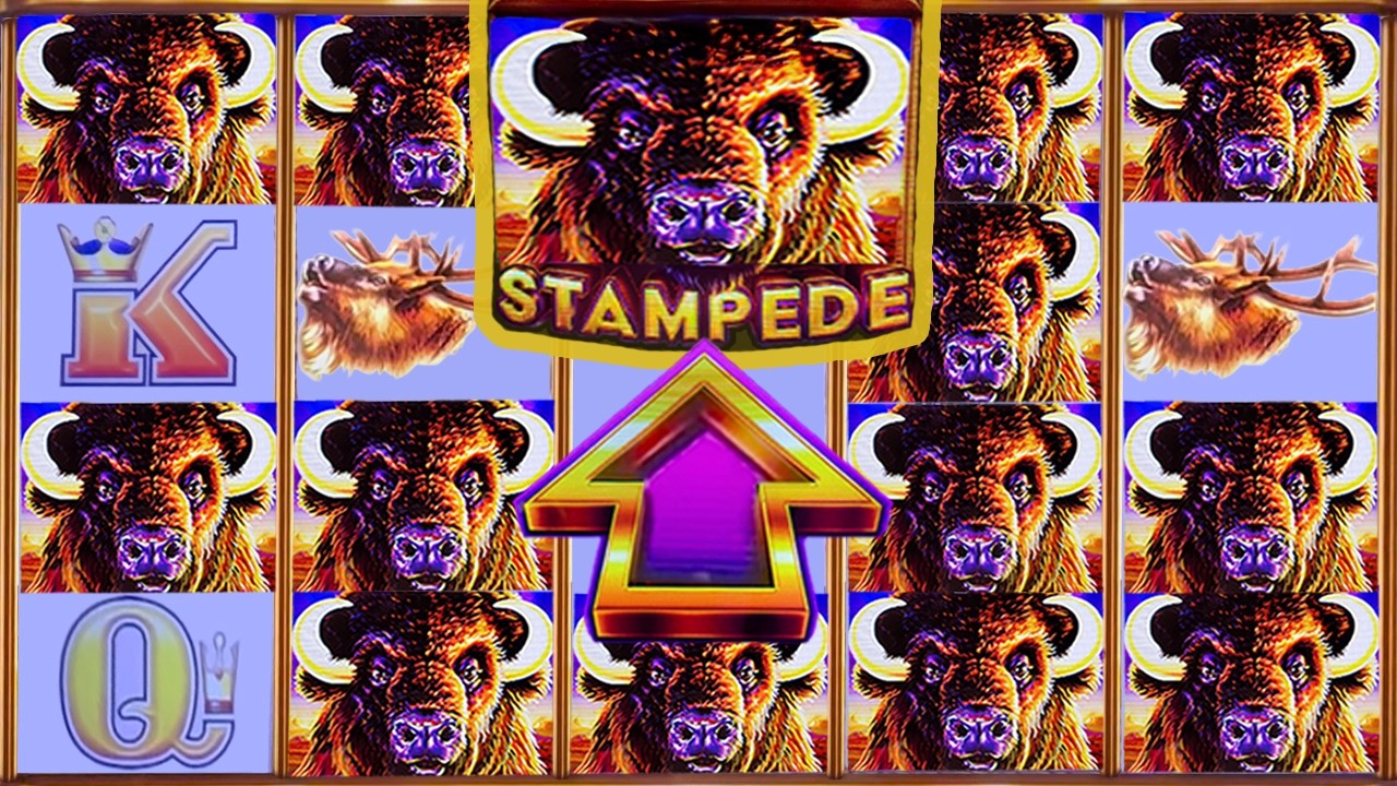 MASSIVE STAMPEDE ➤ HUGE WIN on BUFFALO ASCENSION