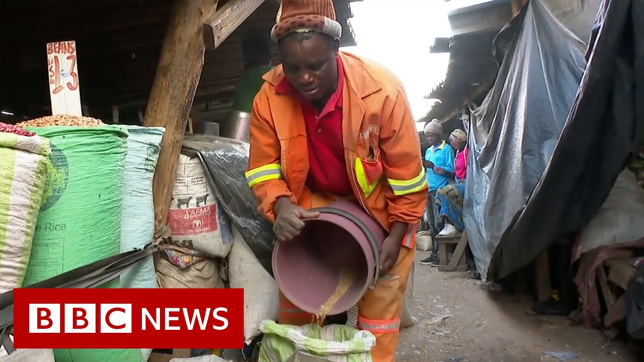 Zimbabwe food crisis fuelled by Ukraine war and climate change – BBC News