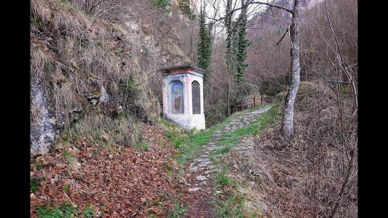 IL SENTIERO DEI CICLAMINI - VALLE MAIRA - (CN)  04.04.2025