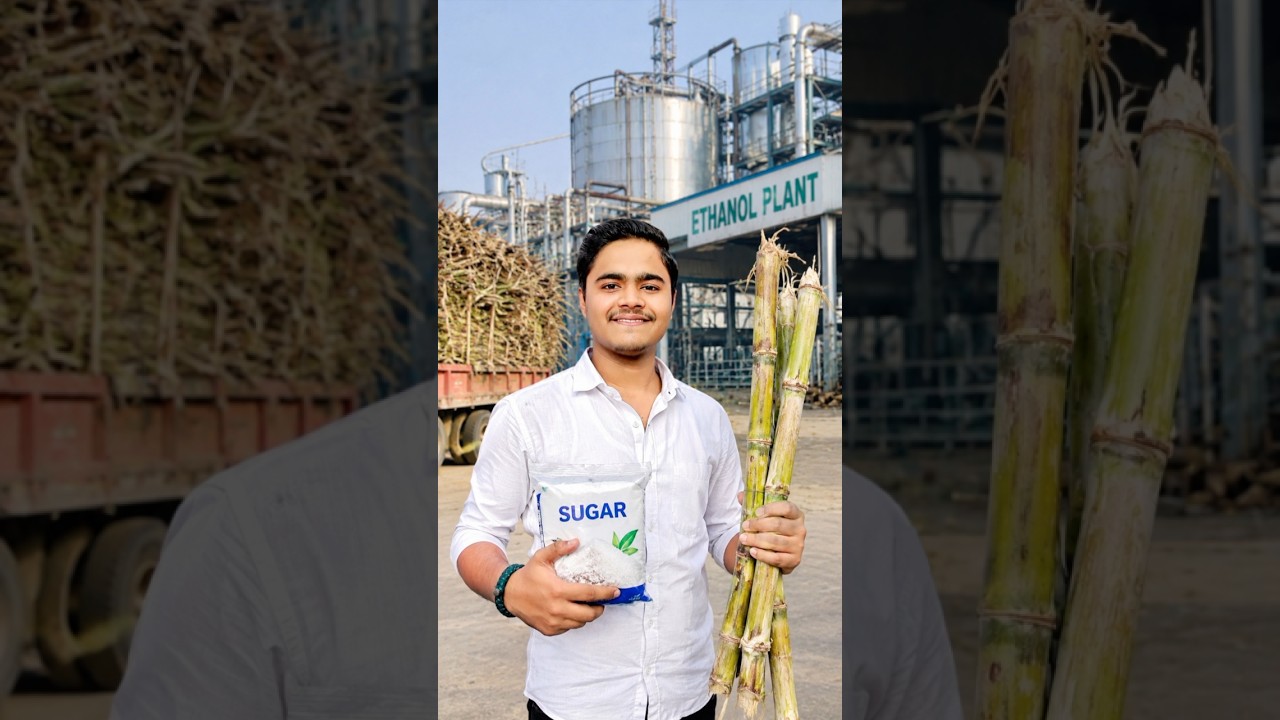 Sugar Price Hike: The Ethanol Secret.🧊📊 #shorts #sugar #sugarcane #hike #ethanol #market #price #...