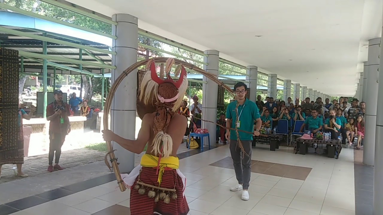 TARIAN CACI MANGGARAI DI POLITANI - IMMAPOL KUPANG