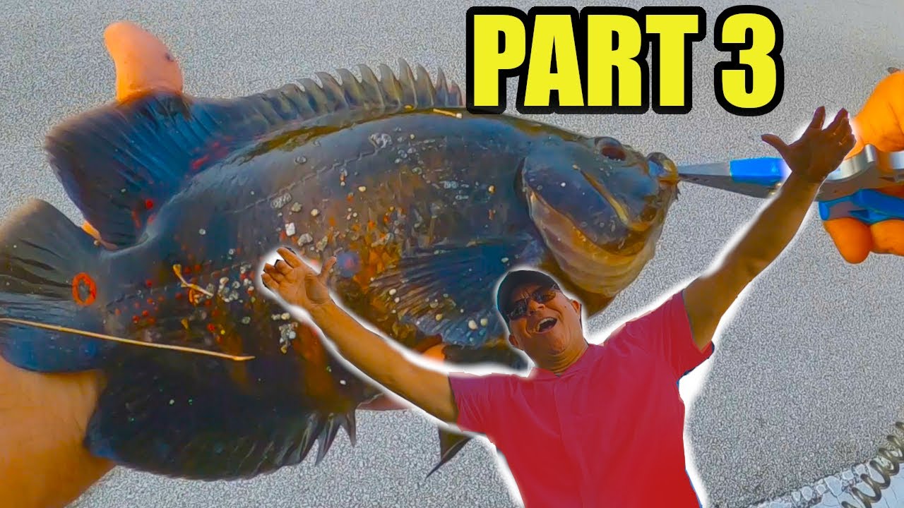 DANGEROUS Everglades Fishing (Part 3) For Exotic Fish While Truck Camping