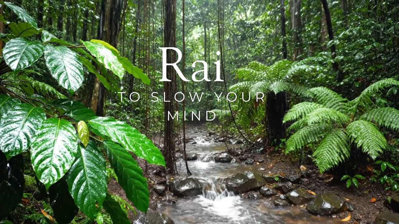 Night Forest Rain Sounds Pure Nature Ambience for Deep Sleep Calm Mind