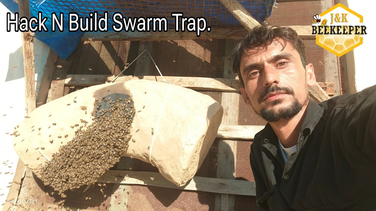 Monster Honey Bees Swarm Trap💡|  Beekeeping At Home | Swarm Kaise Trap Kare