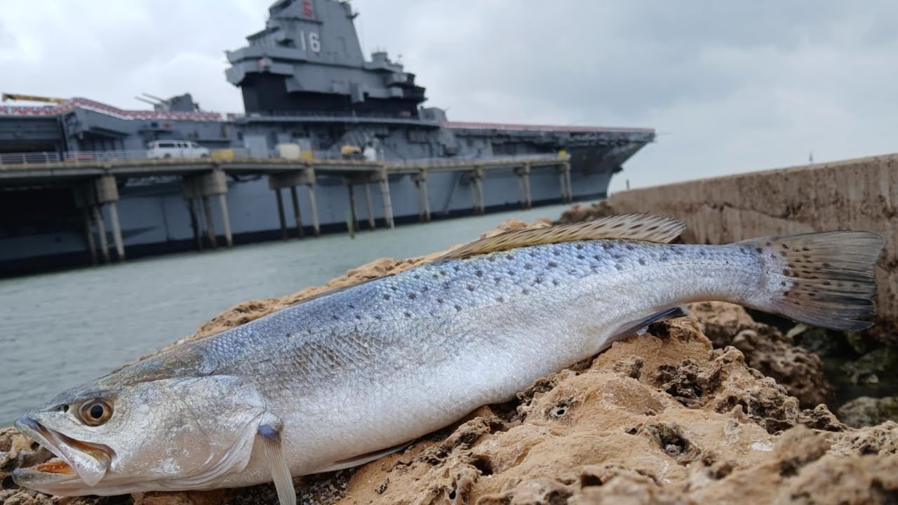 SOLID SPECKLED TROUT FISHING THE U.S.S LEXINGTON-CORPUS FISHING-TEXAS RATTLER-MR.BALLYHOO SCENT OILS
