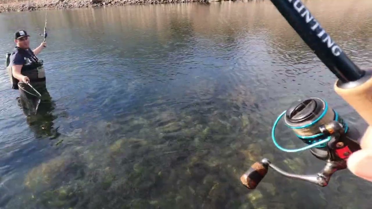 pesca de pejerrelles xl , con gusano tebo, masa y moscas