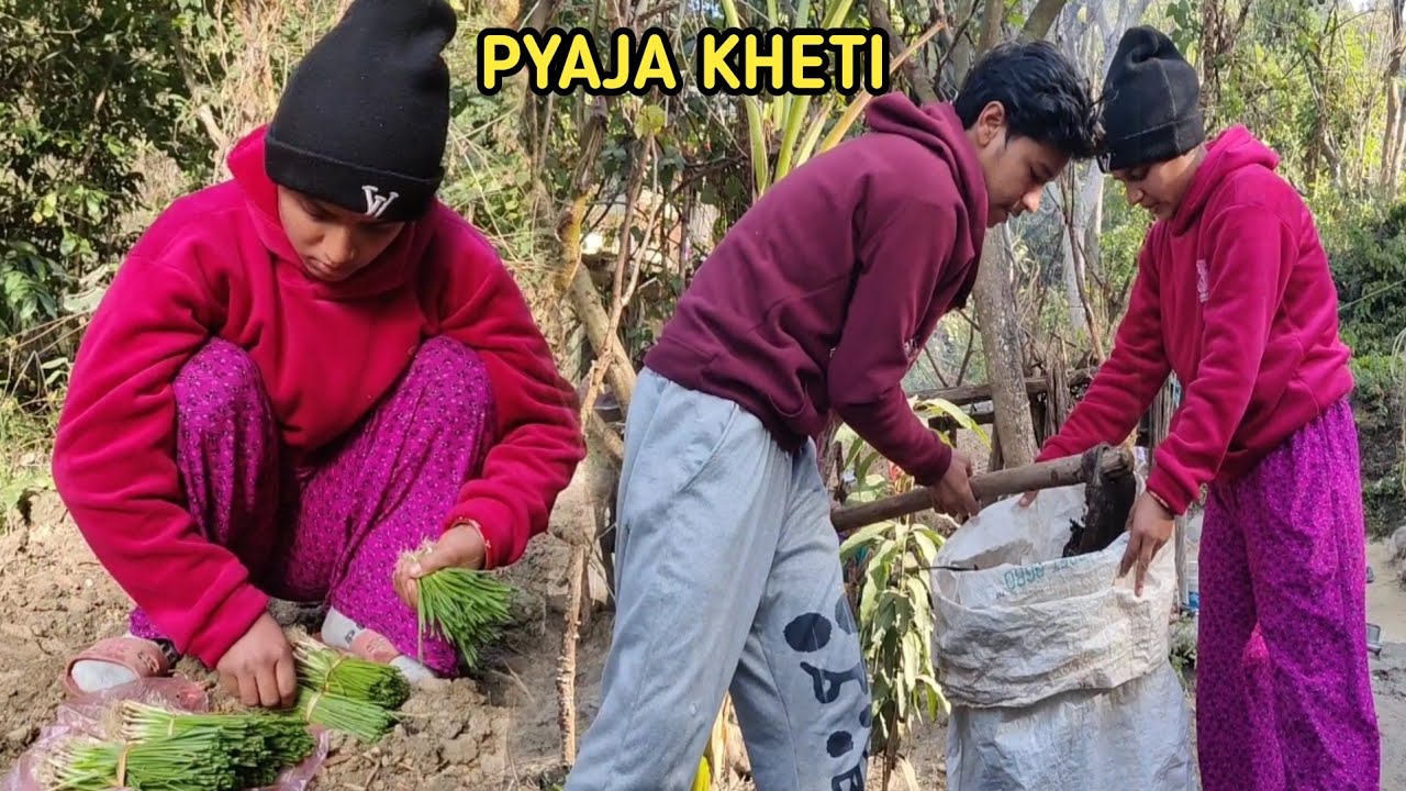 Buda Budi Le Khet Ma Pyaja Lagayau😍 || Vai Le Dekhayo Yasto😱 ? Sita Subash Vlog ||