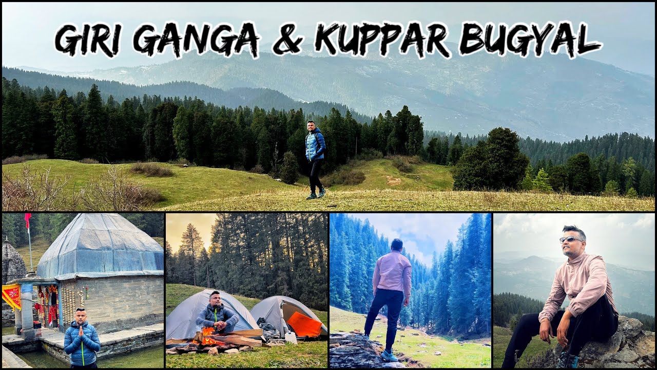 Giri Ganga & Kuppar Peak Trek - Unexplored Place near Shimla I Detailed Video  #giriganga #kuppar