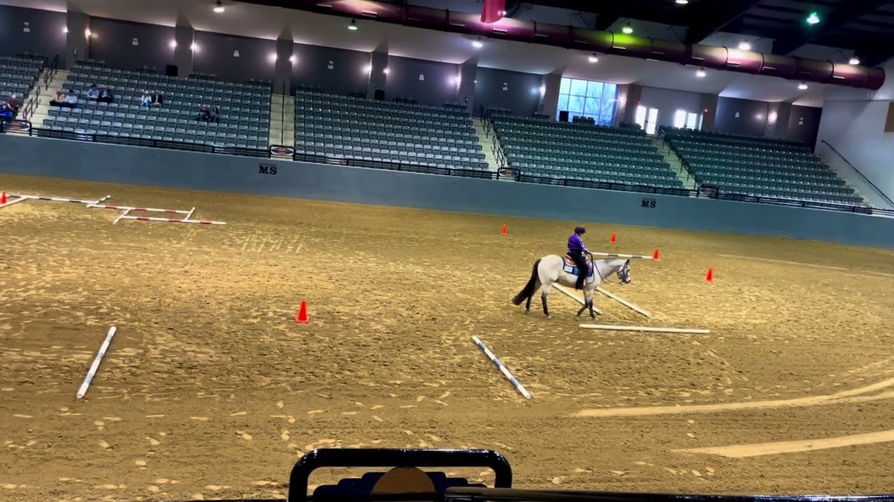 DIXIE NATIONALS HORSE SHOW 2026 EWD