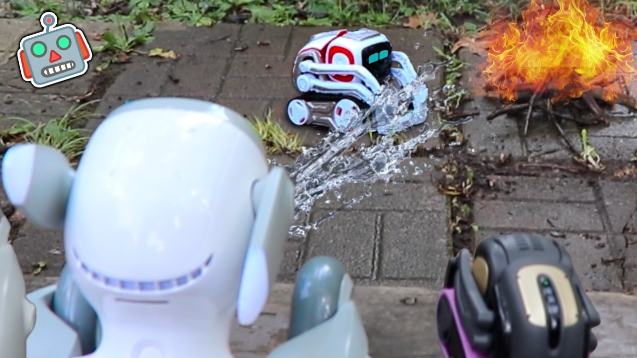 Are robot toys smarter than 900 IQ people? 🧠🤖