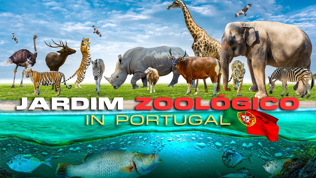 JARDIM ZOOLOGICO IN PORTUGAL | ZOO IN LISBON PORTUGAL