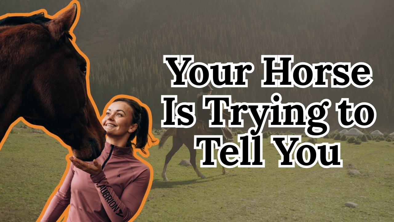What Your Horse Is Trying to Tell You Through Behaviour