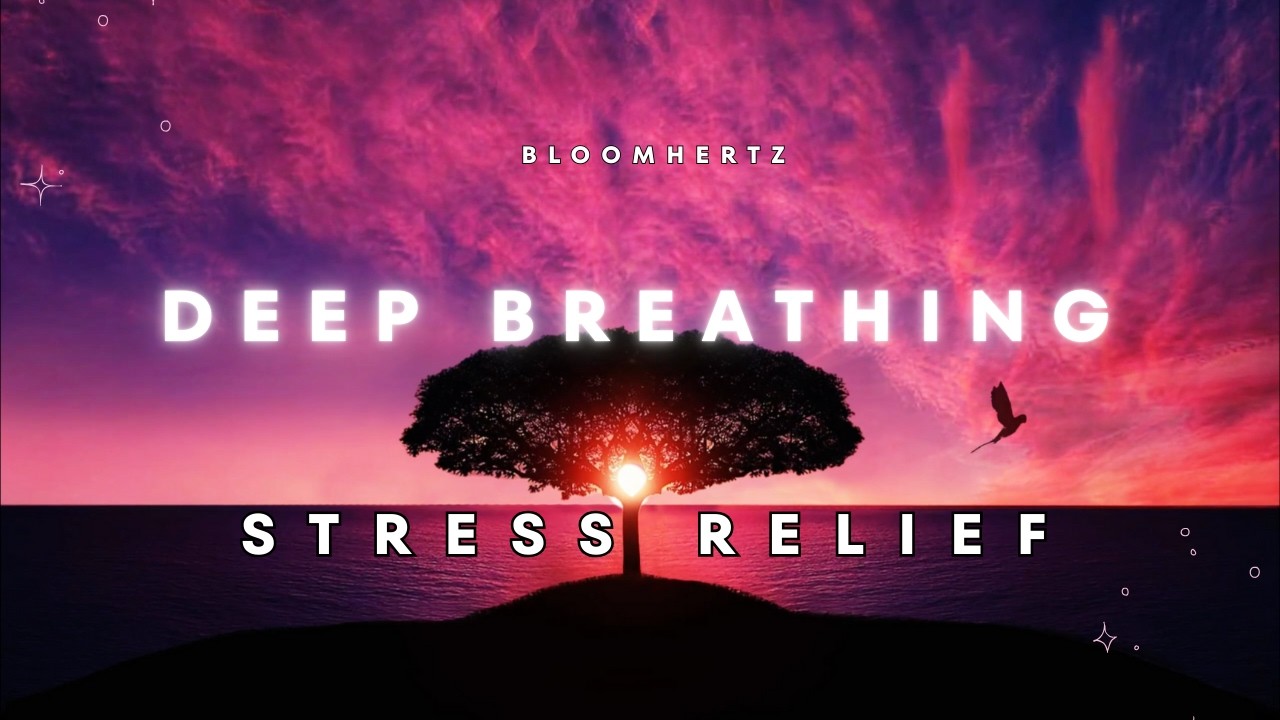 Deep Breathing Frequencies for Stress Relief | Just Breathe (1 Hour)
