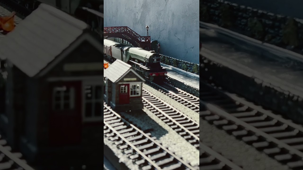 Flying Scotsman 0 gauge at Hawthorn Hedge Garden Railway #gardenrailway #goathland #flyingscotsman