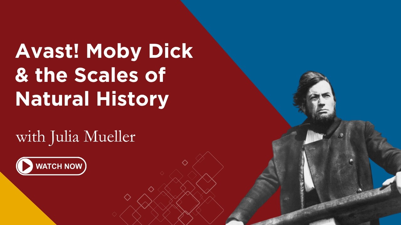 January 2024 First Friday Lecture: Avast! Moby Dick & the Scales of Natural History