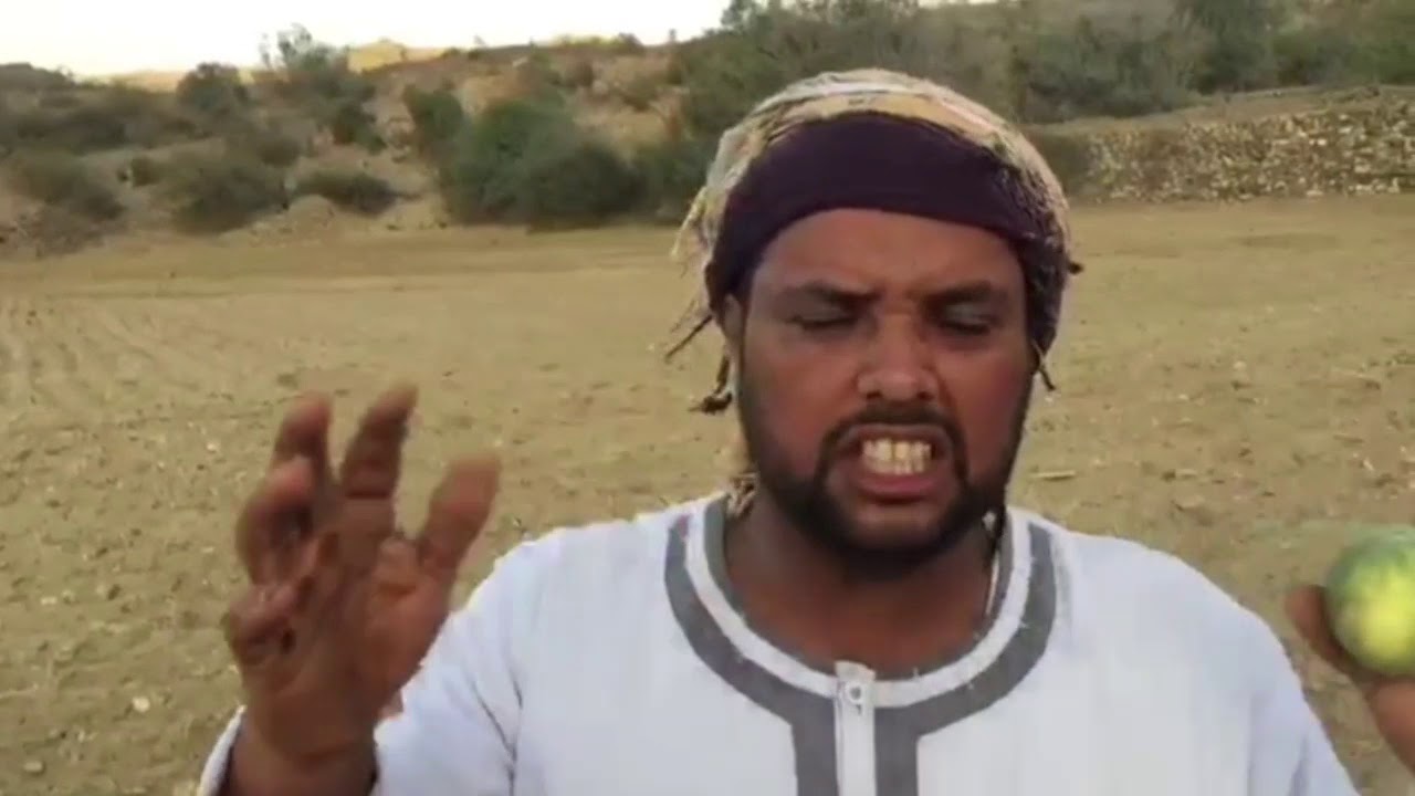 الحنظل