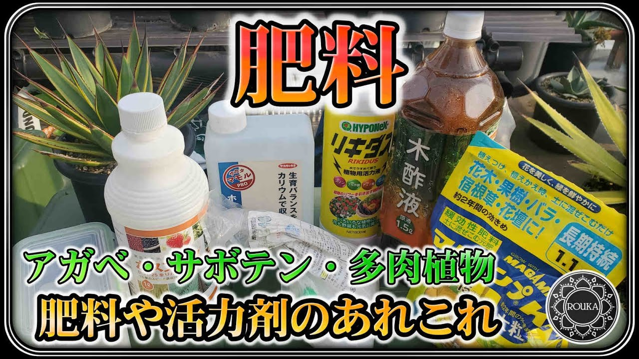 【肥料】アガベに使っている肥料や活力剤【園芸】【多肉植物】