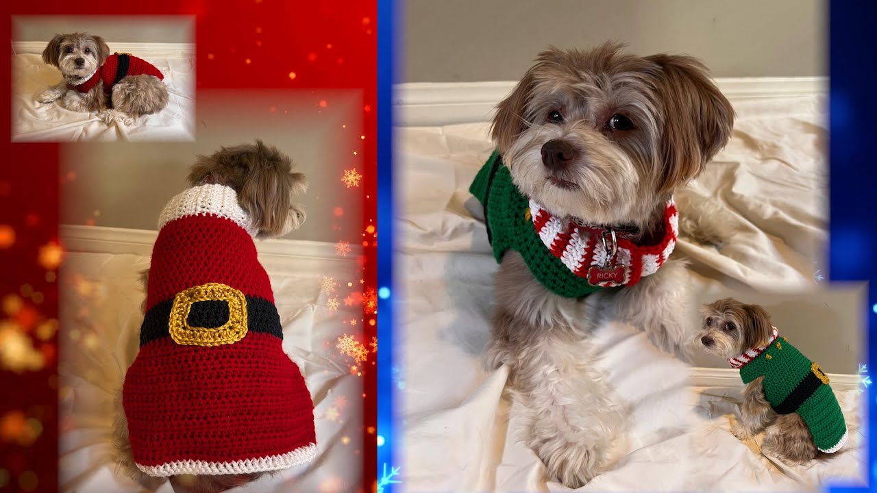 Crochet a Holiday Dog Sweater | Full Step-by-Step Tutorial