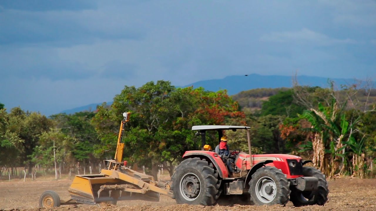 Nivelación del Suelo en los Cultivos de Arroz  - TvAgro por Juan Gonzalo Angel