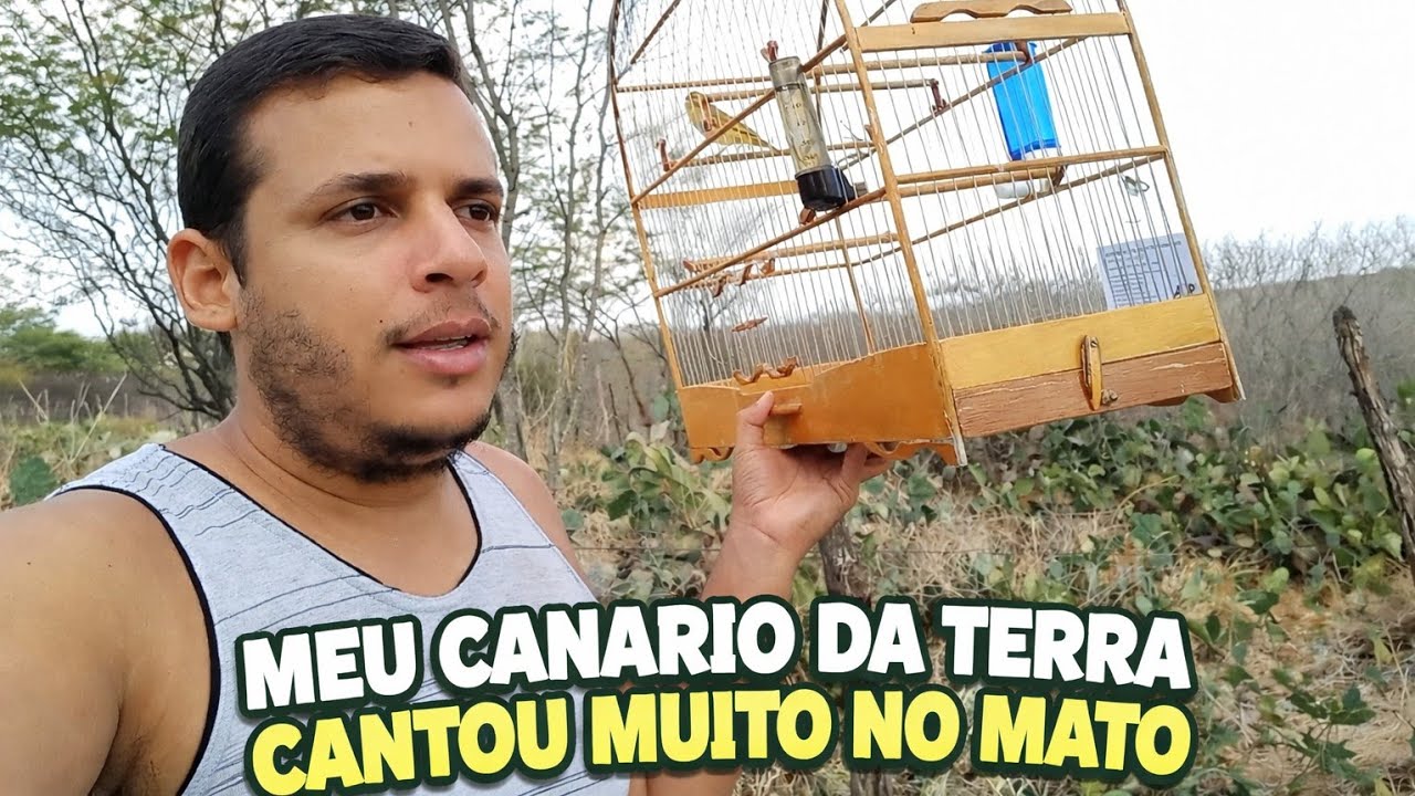 Segunda volta nesse lugar e o canário da terra abriu o canto 