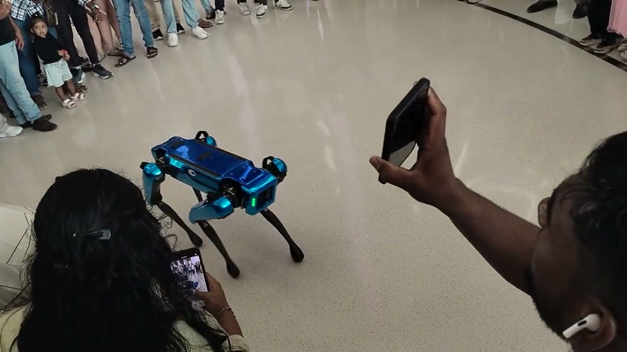 Museum of the Future Dubai | Amazing Robot Dog & Futuristic Experience