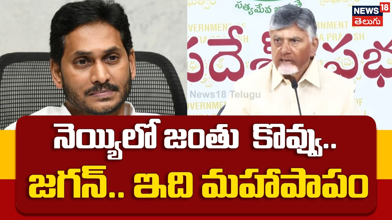 CM Chandrababu Naidu on Tirumala Ghee | నెయ్యిలో జంతు  కొవ్వు.. జగన్.. ఇది మహాపాపం.. | N18