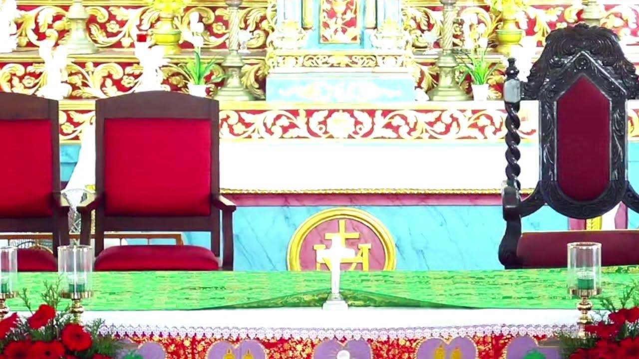 25 JANUARY 2026 - 11.30AM  ||  LIVE HOLY MASS  ||  VALLARPADAM SHRINE BASILICA
