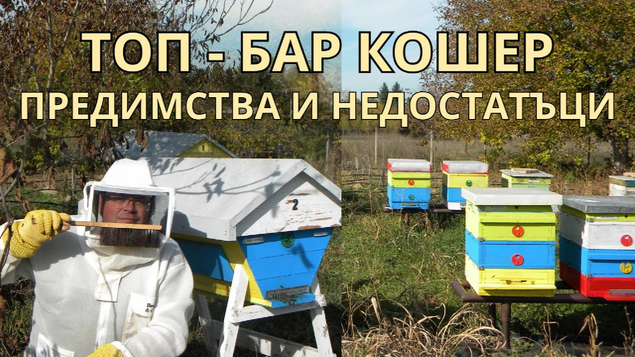 Предимства и недостатъци на ТОП - БАР /кенийски/ кошер