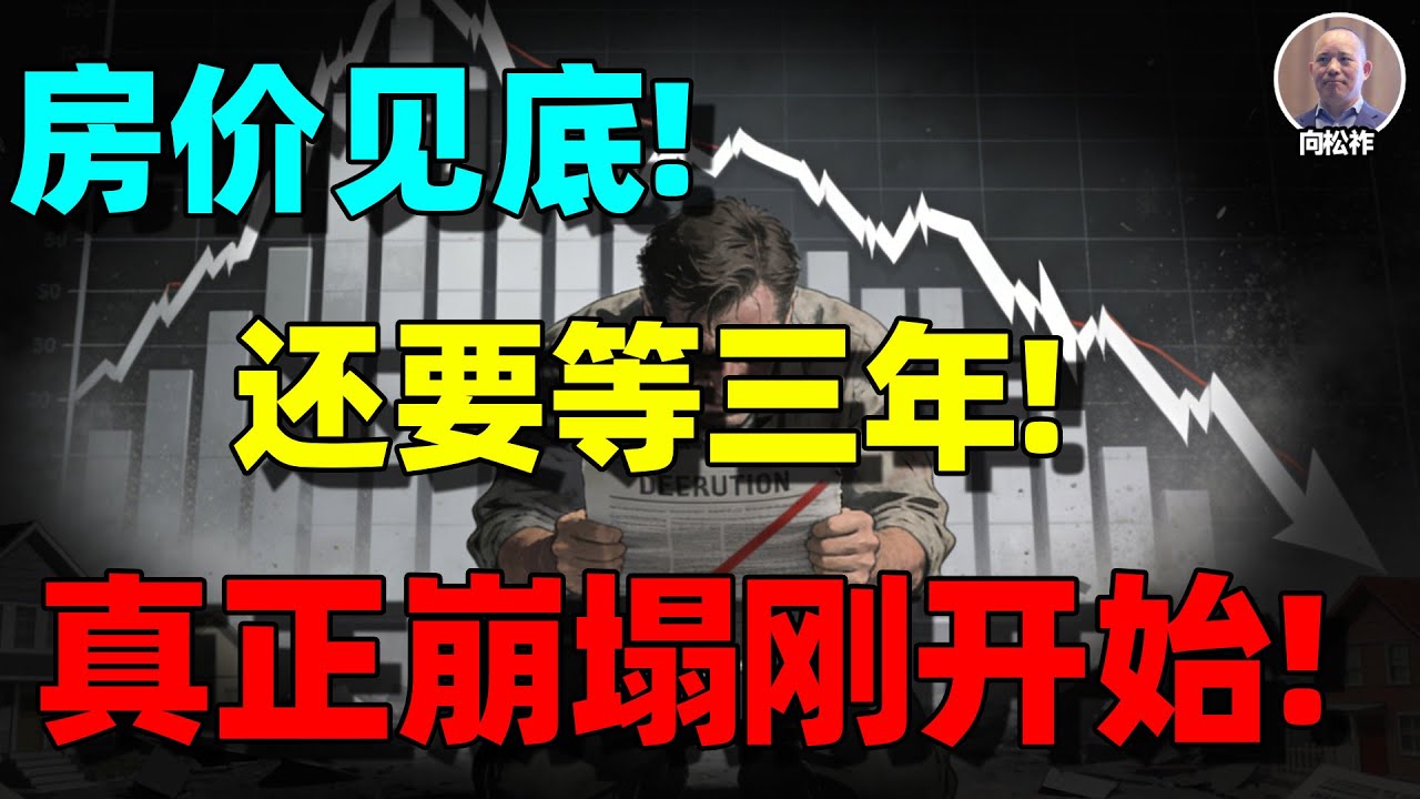 【向松祚重磅】失业率暴增，新房价暴跌，交易量暴跌，二手房价暴跌！房价见底还要等3年？真正危险的不是下跌，而是这些城市正在“归零”！
