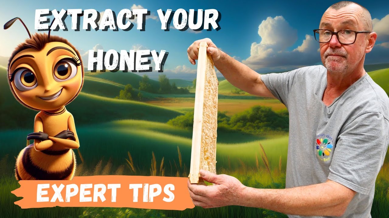Expert Tips To Extract Honey Easily!