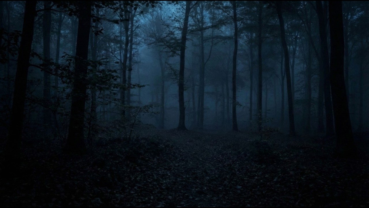 Hugar Ró | Nordic Music 1 Hour Relaxing | Peace of Mind for Sleep & Study
