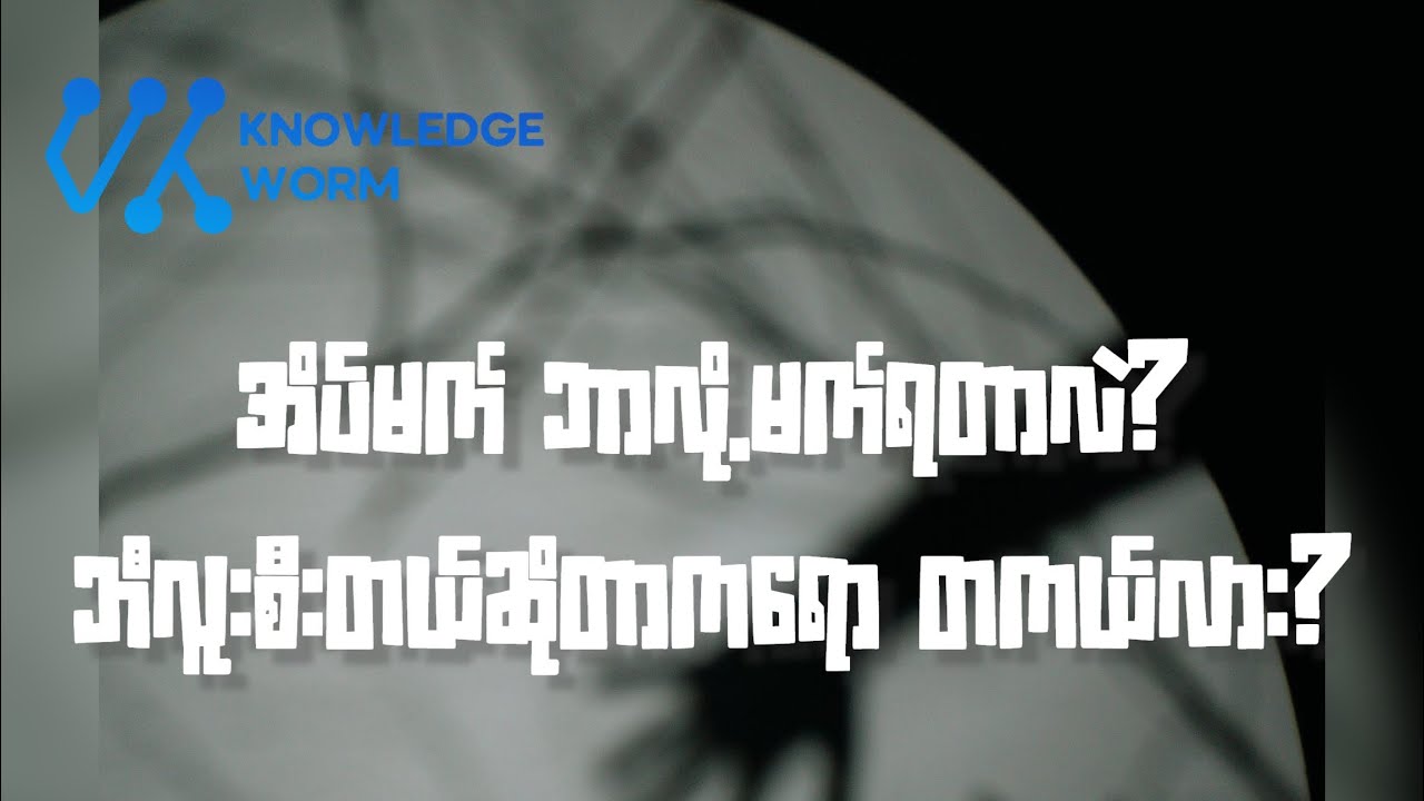 အိပ်မက်တွေ ဘာလို့မက်ရတာလဲ နဲ့ ဘယ်လို အလုပ်လုပ်လဲ