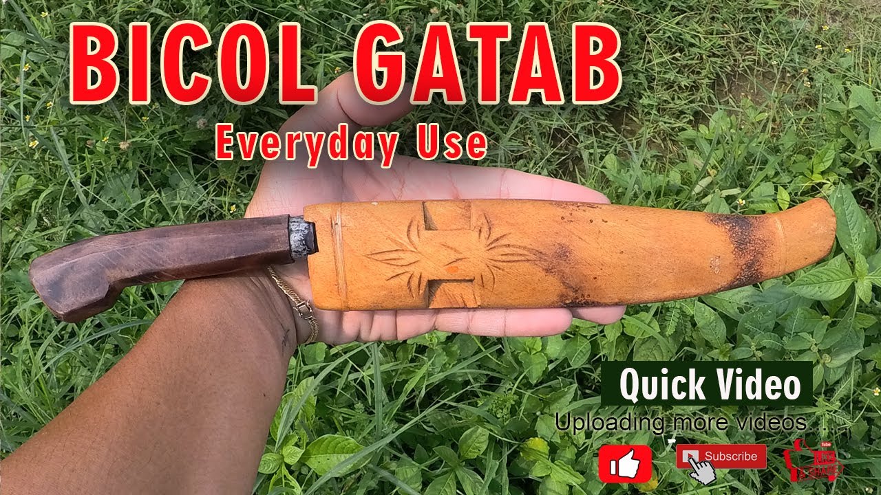 Bicol Gatab