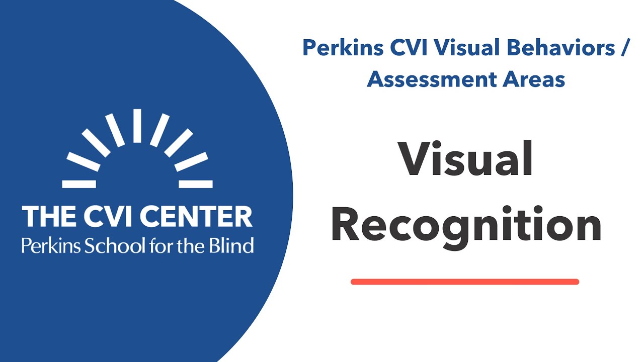 CVI Visual Behaviors: Visual Recognition