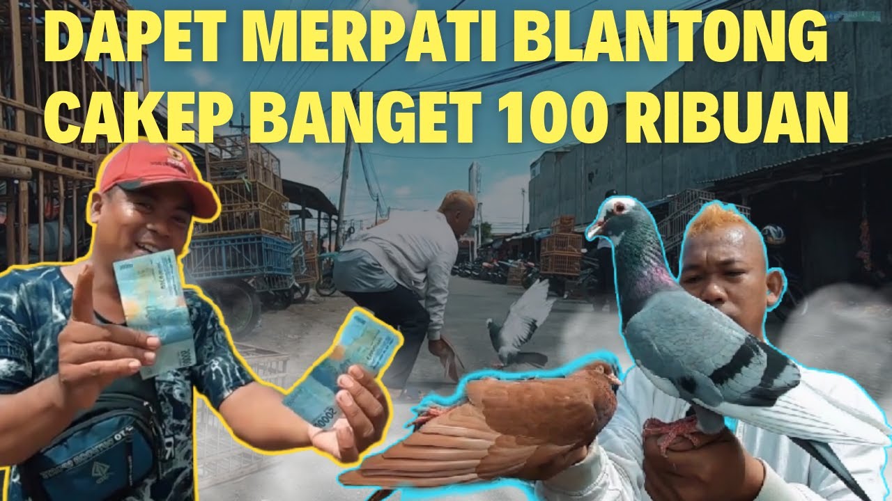 23 Tahun Berlalu Akhirnya Kembali ke Pasar Kroya Cilacap liat Pasaran Jualan Merpati