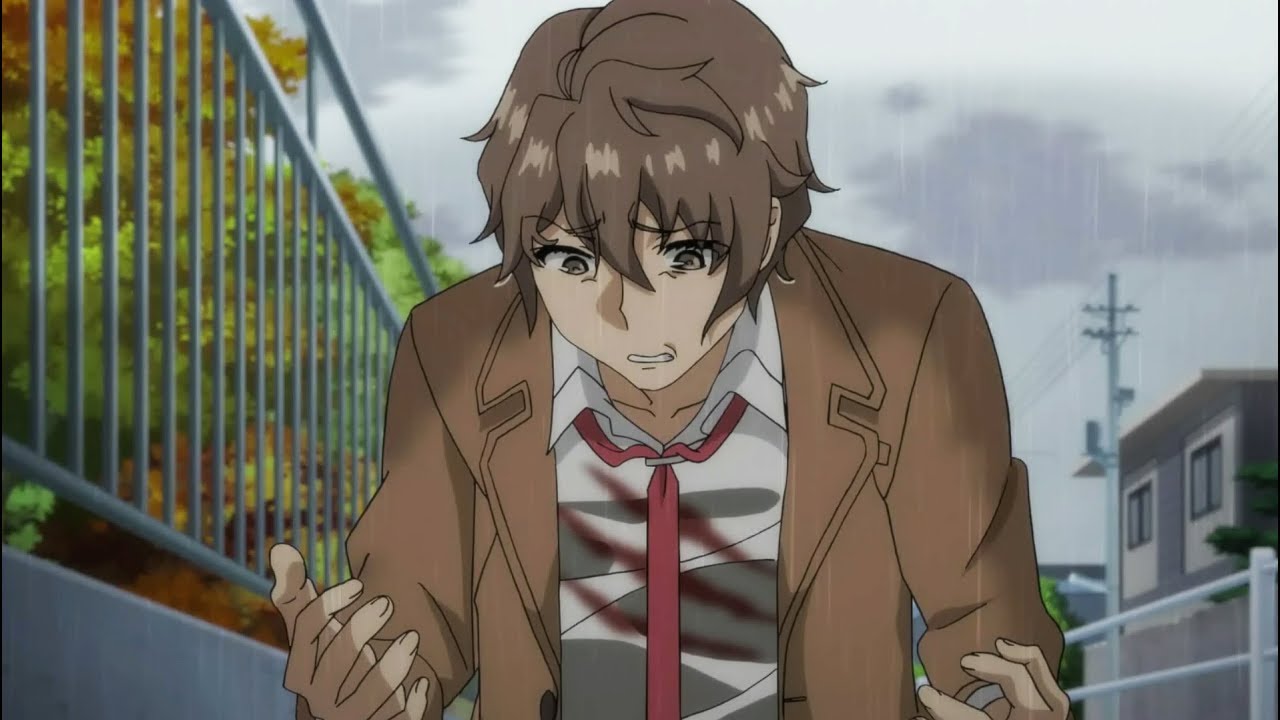 Seishun Buta Yarō wa Bunny Girl-senpai no Yume wo Minai END「AMV」- Neverland