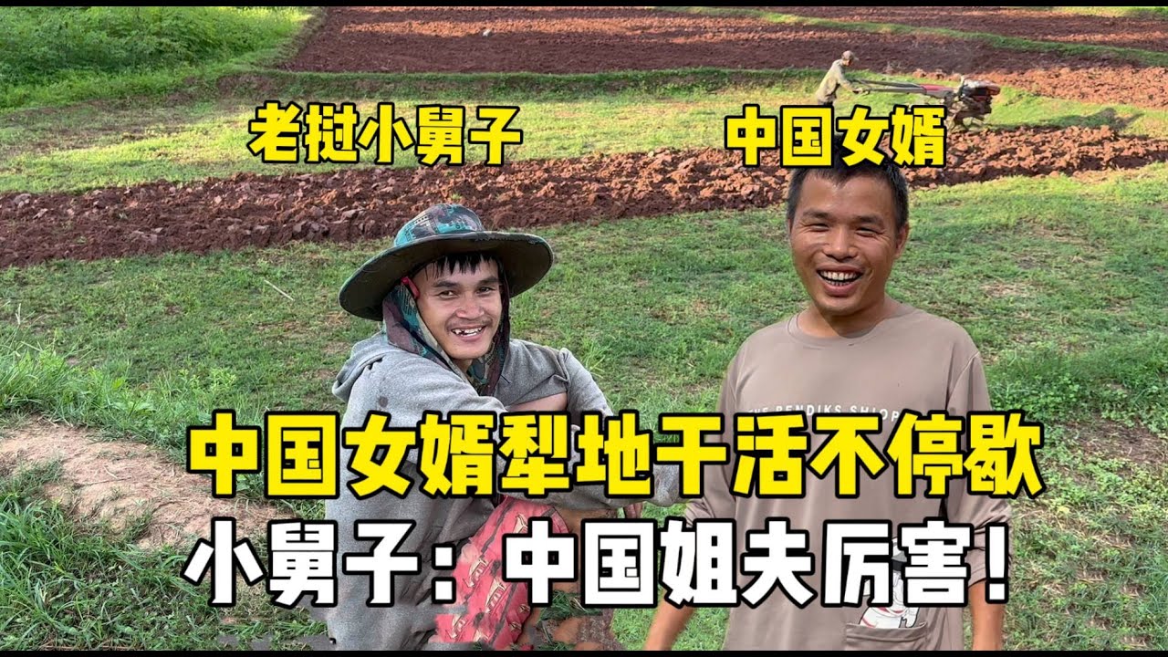老挝农忙季，中国女婿犁地干活样样精通，小舅子夸不停：姐夫厉害！