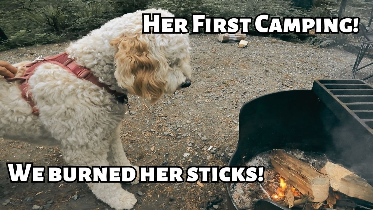 Camping Elk Falls Campground | Day 1
