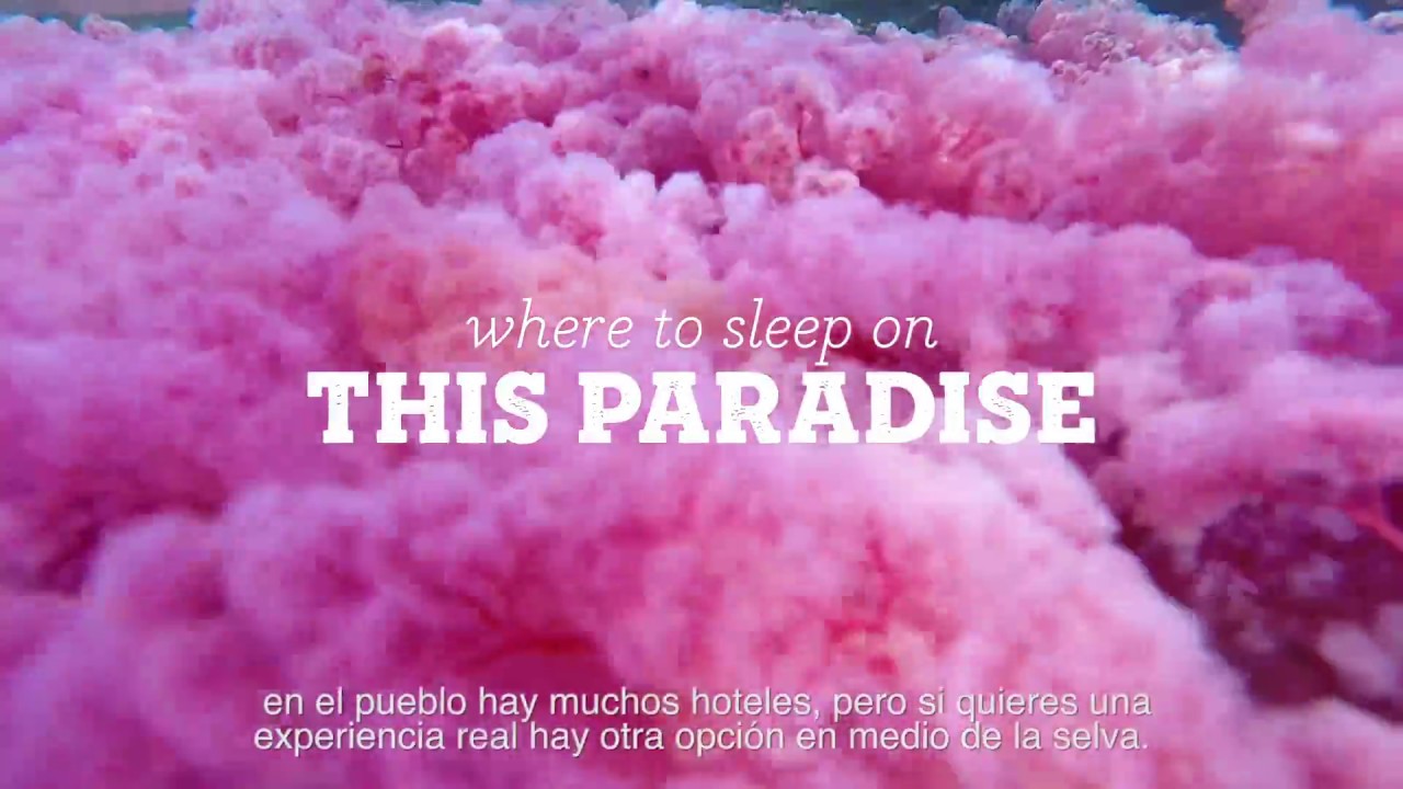 A Mind Blowing River Called Caño Cristales Colombia!!!