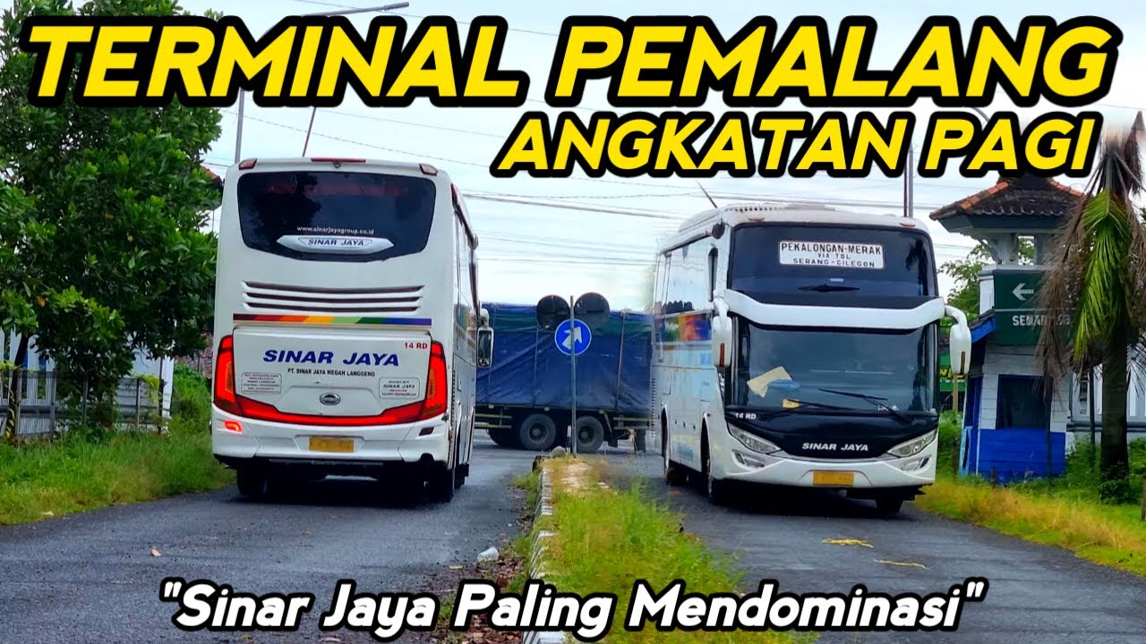SINAR JAYA PALING MENDOMINASI !!! Angkatan Pagi Terminal Pemalang