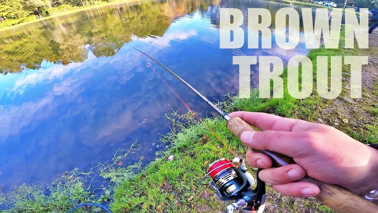LA FARIO SOLITARIA! - Pesca alla trota a ultralight spinning con SPOON DA TROUT AREA e GOMMA
