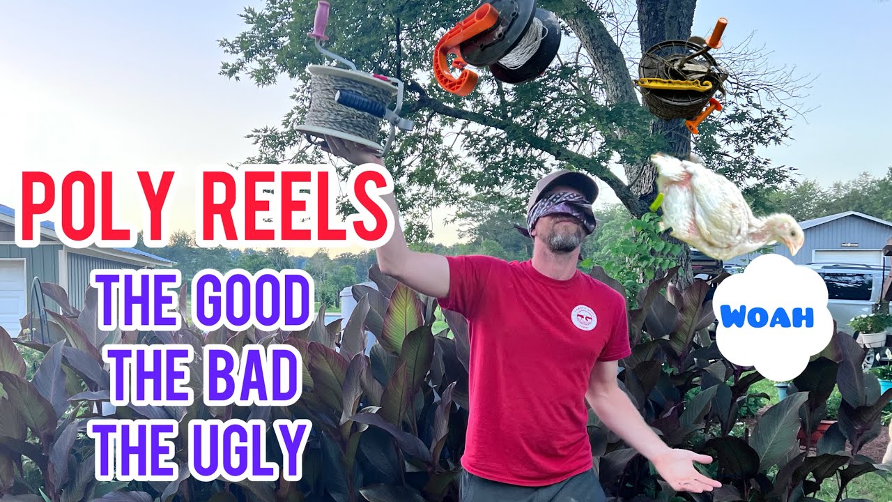 What is the best poly reel?