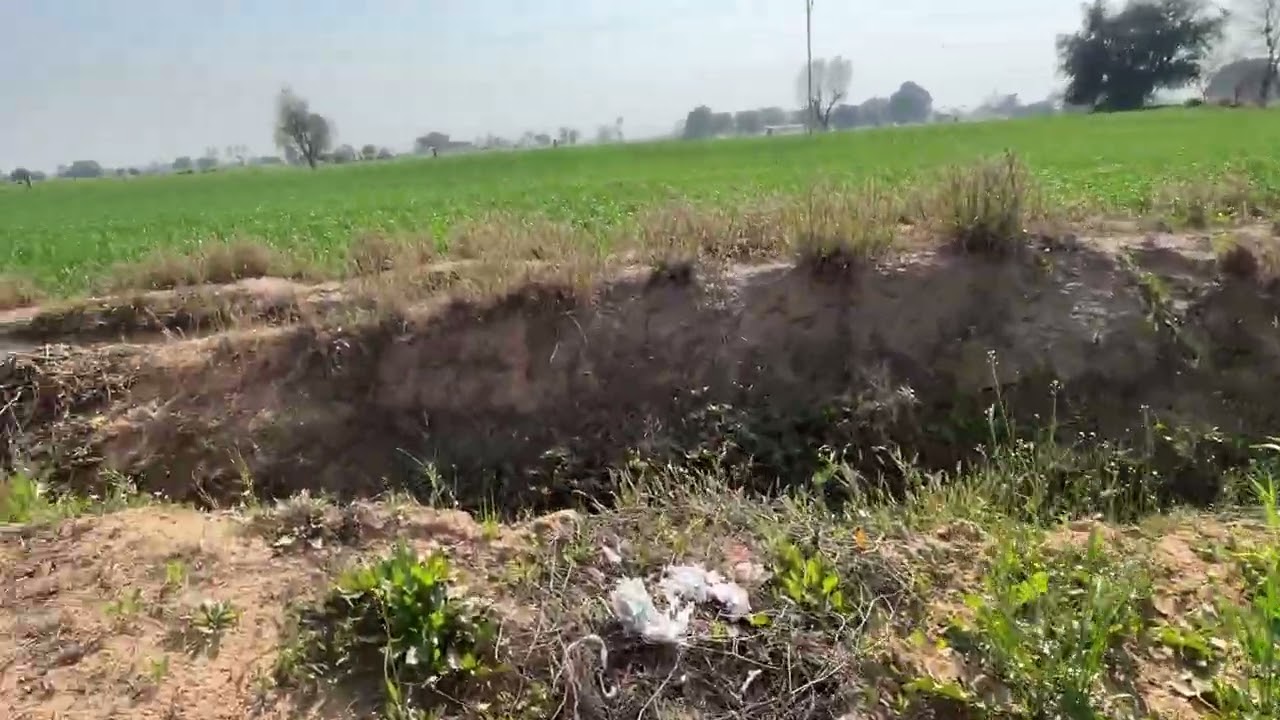 25 बीघा कमांड ज़मीन बिकाऊ है सुरतगढ तहसील में है पानी मिठा है रेट 8 लाख 50 प्रति बीघा 6378331712